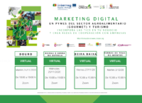 WORKSHOP MARKETING DIGITAL VIRTUAL PROYECTO CRECEER