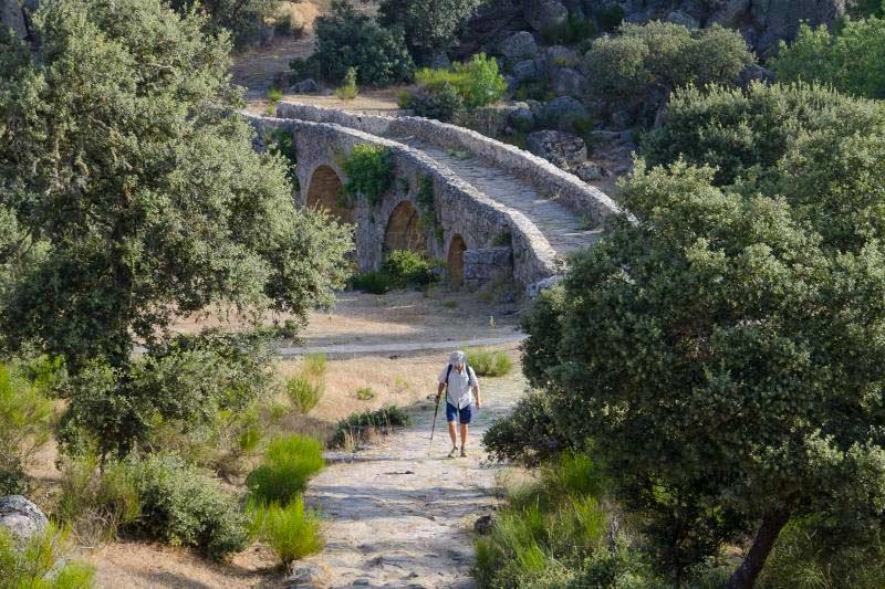 Camino de San Francisco de Asís