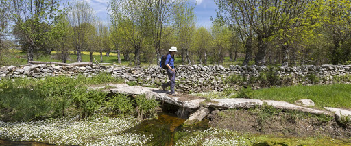 Sendero de Las Piedra Mágicas