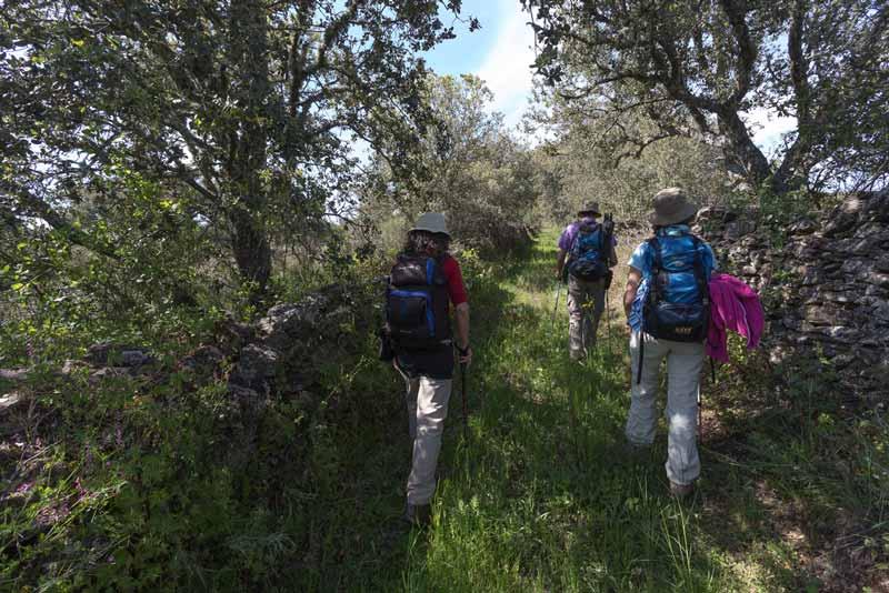 Sendero de los Frutos