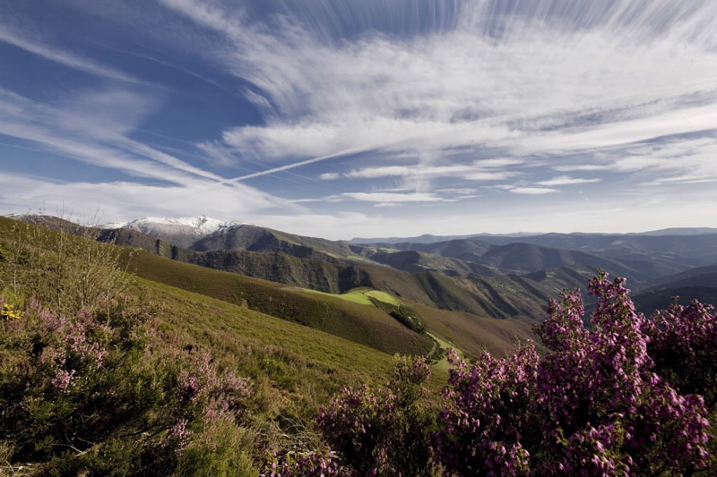 Reserva Regional de Caza de Los Ancares Leoneses